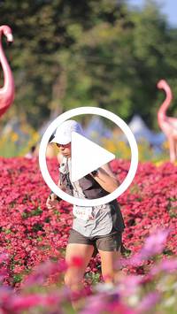 BIB:  <button type="button" onclick="openModal(27588542)" class="btn btn-primary btn-sm float-right" data-toggle="modal" data-target=".modal-high-quality">
                <i class="fa fa-download"></i> Download
                </button>